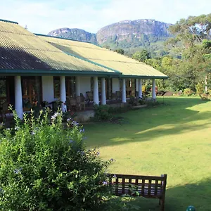 Jungle Tide Bed & Breakfast